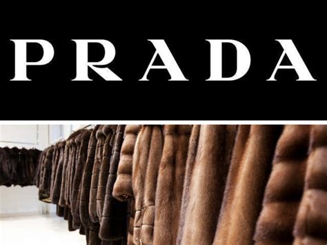 prada addio pellicce|Prada dice stop alle pellicce animali .